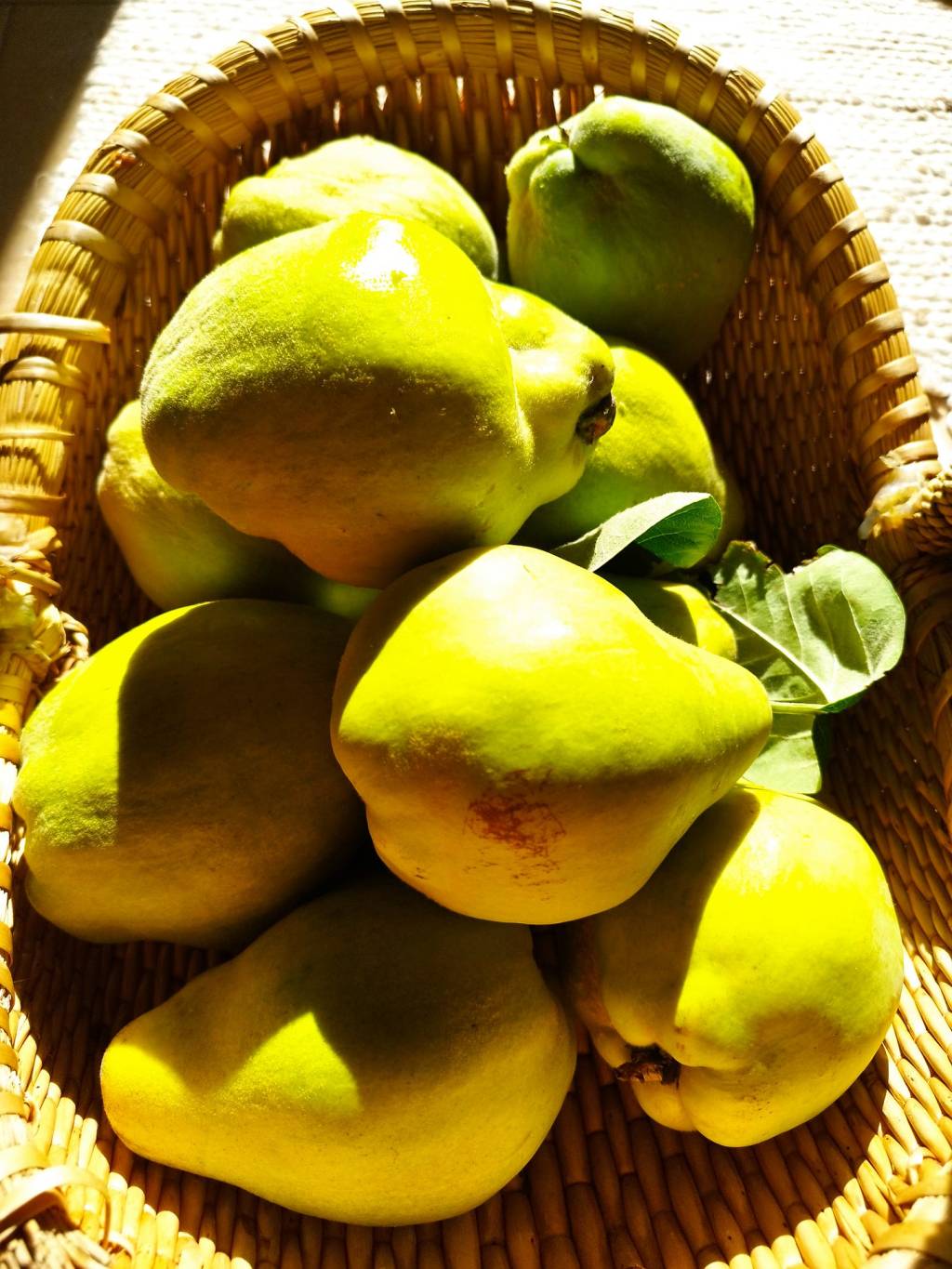 🎃 Cum a furat Grinch toamna (din&nbsp;nou)